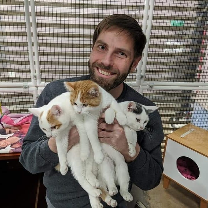 Kyle with rescue kittens at Perk Cat Cafe